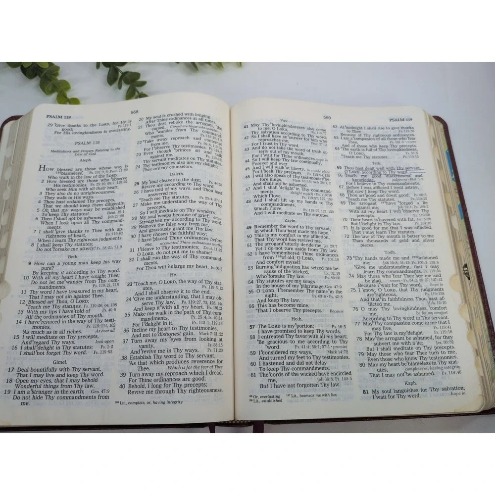 RARE 1979 LOCKMAN🚨The Open Bible Nelson Maroon Genuine Leather NASB Red Letter